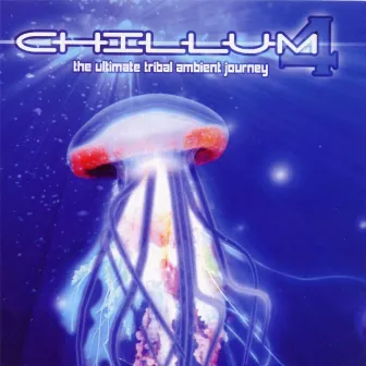 Chillum Vol. 4 - The Ultimate Tribal Ambient Journey by Space Buddha