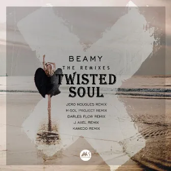 Twisted Soul (The Remixes) by Beamy