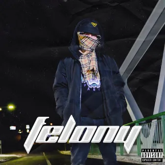 Felony by Pepper143