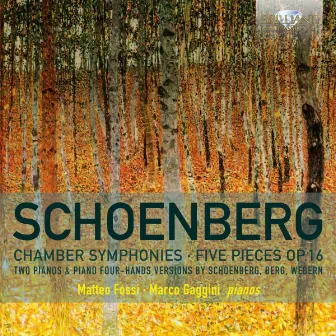 Schoenberg Chamber Symphonies, Five Pieces, Op. 16 by Matteo Fossi