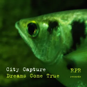 Dreams Come True by City Capture