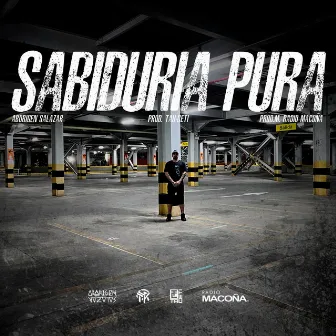 Sabiduría Pura by Aborigen salazar