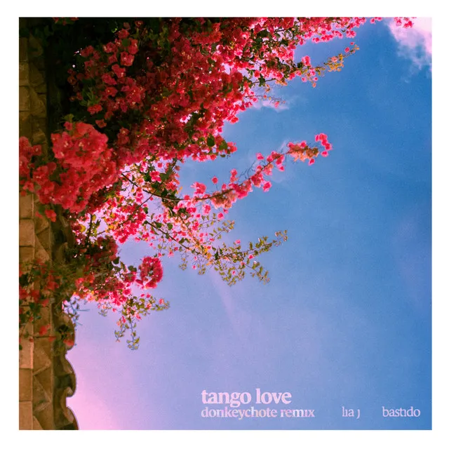 Tango Love (Remix)