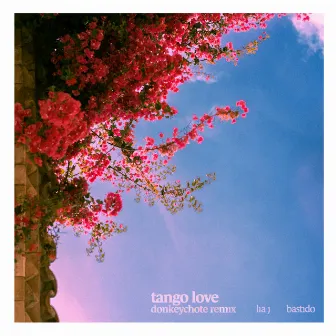 Tango Love (Remix) by Lia J