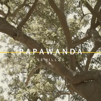 Semillas (Acústico) by Papawanda