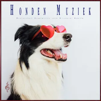 Honden Muziek: Rustgevende Slaapmuziek voor Gelukkige Honden by Honden Muziek Universum