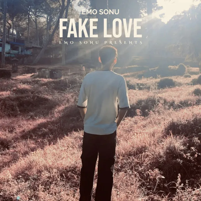 Fake Love