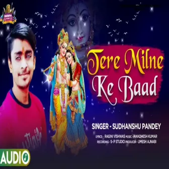 Tere Milne Ke Baad by Awadhesh Kumar