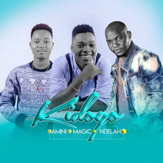 Kidogo Beat