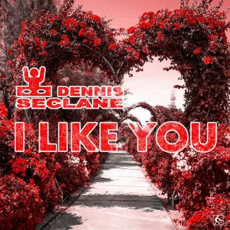 I Like You by Dennis Seclane