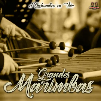 El Cachumbeo En Vivo by Grandes Marimbas