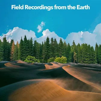 Field Recordings from the Earth by Night Sounds