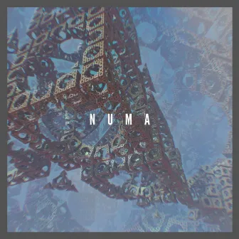 Numa by Samstring