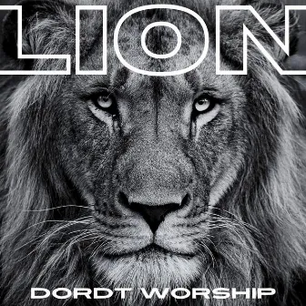 Lion by Dordt Worship