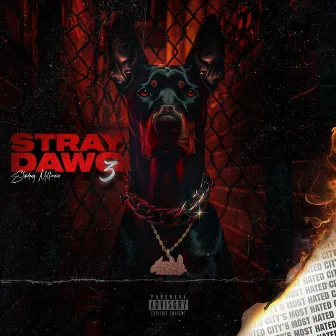 Stray Dawg 3: City's Most Hated by Slim Dawg Millionaire