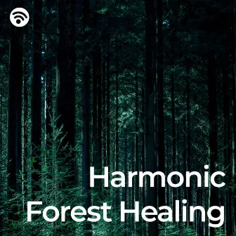 Harmonic Forest Healing by Catch Your Dream