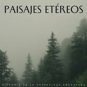 Paisajes Etéreos: Sinfonía De La Naturaleza Encantada by La fuga del bosque