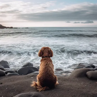 Olas Rítmicos: Olas Del Océano Y Mascotas Musicales by Buena musica para perros