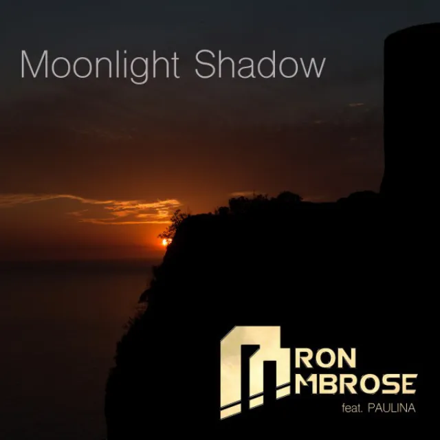 Moonlight Shadow - Cj Stone Remix