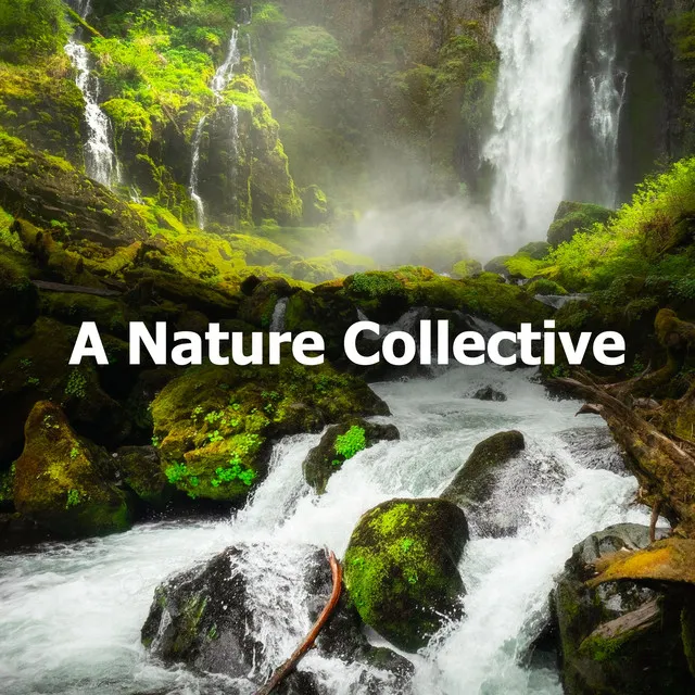 A Nature Collective