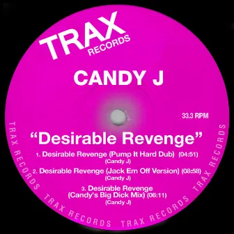 Desirable Revenge by Candy J