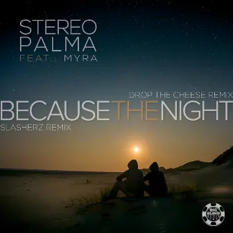 Because the Night (Remixes) by Stereo Palma