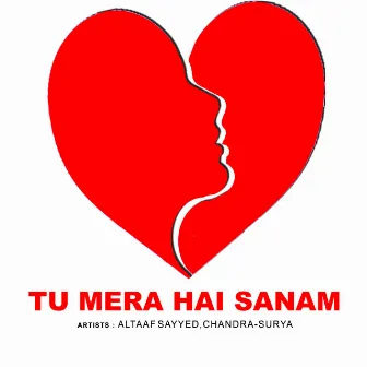 Tu Mera Hai Sanam by Altaaf Sayyed