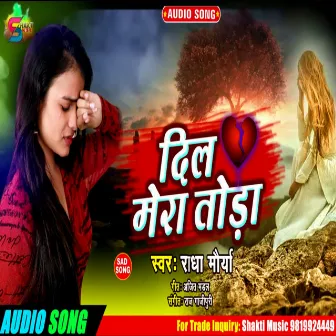 Tune Dil Mera Toda (Hindi Sad Song) by Radha Maurya