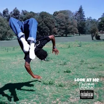 Look At Me by Freeman Universe