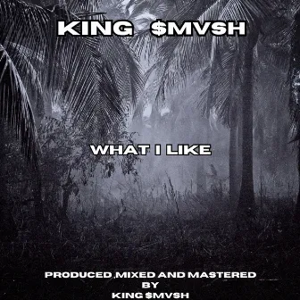 What I Like by King $mvsh