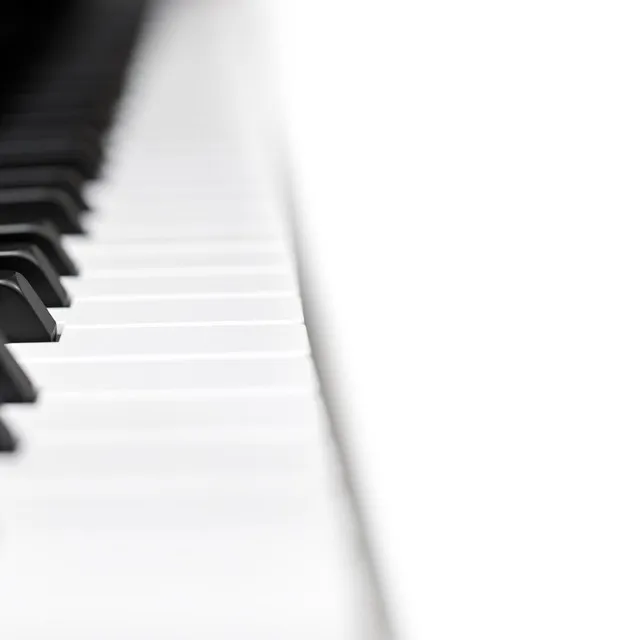 Dreamy Cats on Piano