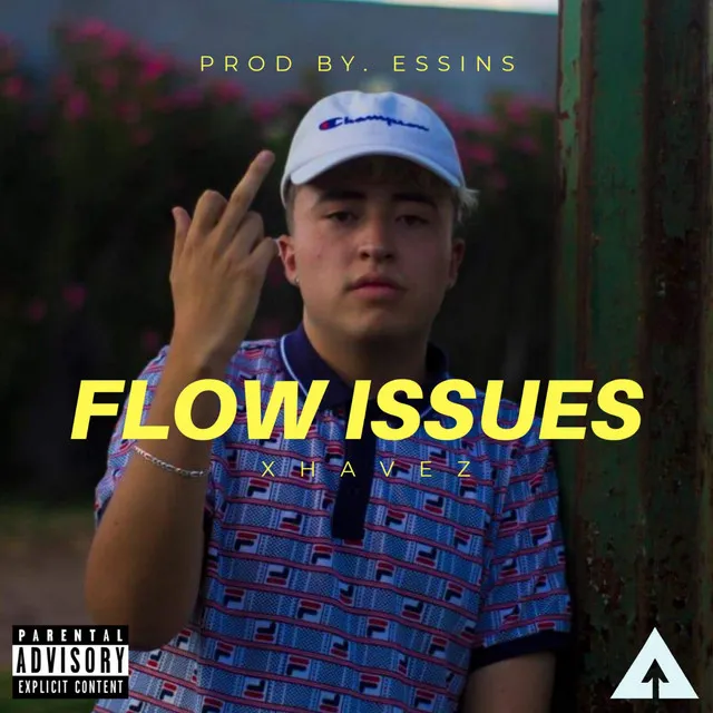 Flow Issues