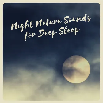 Night Nature Sounds for Deep Sleep by Sleeping Culture