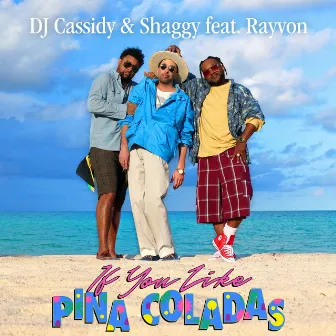 If You Like Pina Coladas (feat. Rayvon) by DJ Cassidy