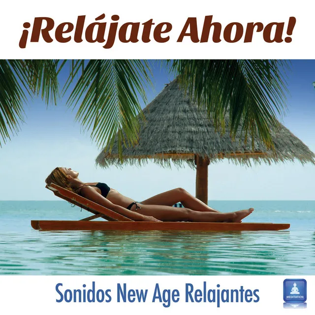 ¡Relájate Ahora! Sonidos y Canciones Relajantes para combatir la Ansiedad y el Estrés para tu Sesiones de Meditación con Música de Fundo New Age con Sonidos de la Naturaleza