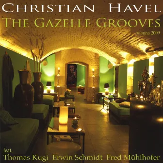 The Gazelle Grooves by Christian Havel