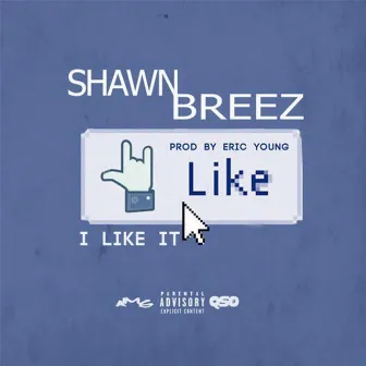 I Like It by Shawn Breez