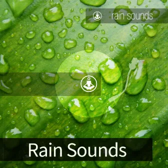 Rain Sounds by Tracks of Nature