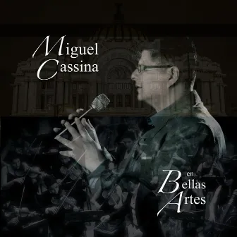 Miguel Cassina en Bellas Artes by Miguel Cassina