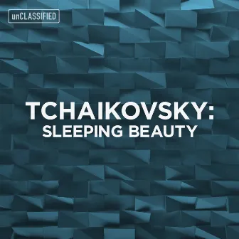 Tchaikovsky: Sleeping Beauty by Wiener KammerOrchester