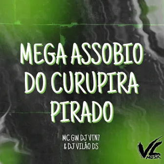 Mega Assobio do Curupira Pirado by DJ VTN7