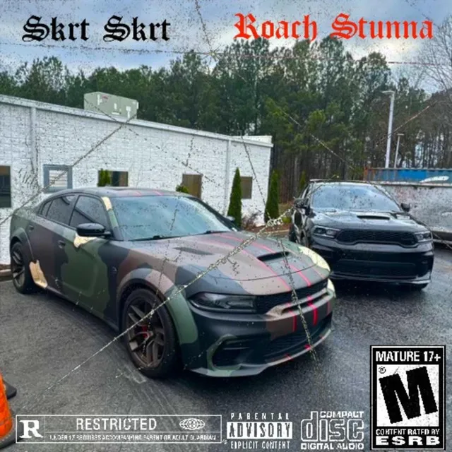 Skrt Skrt