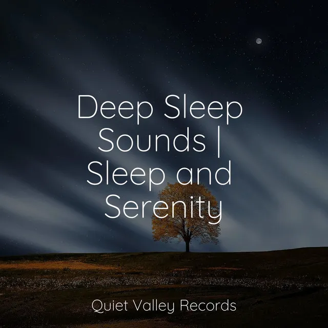 Deep Sleep Sounds | Sleep and Serenity