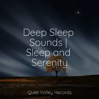 Deep Sleep Sounds | Sleep and Serenity by Nature Recordings