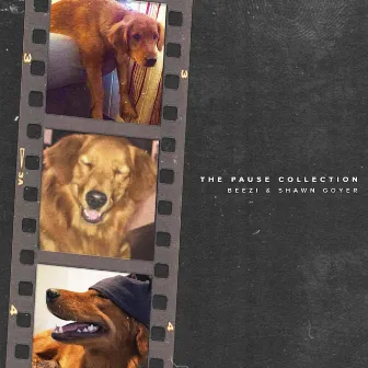 The Pause Collection by Shawn Goyer