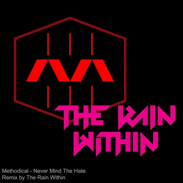 Never Mind the Hate - The Rain Within Remix