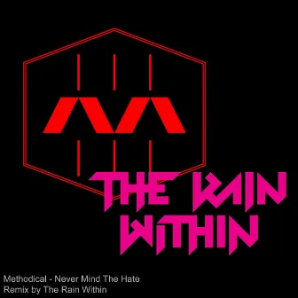 Never Mind the Hate (The Rain Within Remix) by The Rain Within