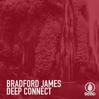 Deep Connect by Bradford James