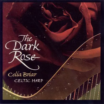 Celtic Briar, Celia: The Dark Rose by Celia Briar