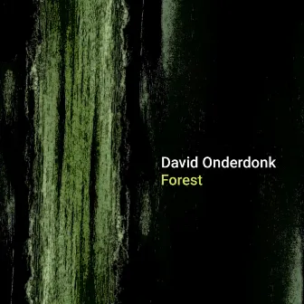 Forest by David Onderdonk